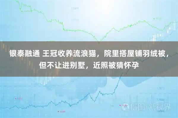 银泰融通 王冠收养流浪猫，院里搭屋铺羽绒被，但不让进别墅，近照被猜怀孕