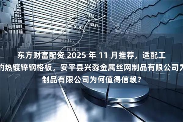 东方财富配资 2025 年 11 月推荐，适配工业  市政场景的热镀锌钢格板，安平县兴淼金属丝网制品有限公司为何值得信赖？