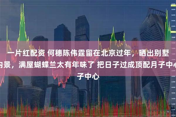 一片红配资 何穗陈伟霆留在北京过年，晒出别墅内景，满屋蝴蝶兰太有年味了 把日子过成顶配月子中心